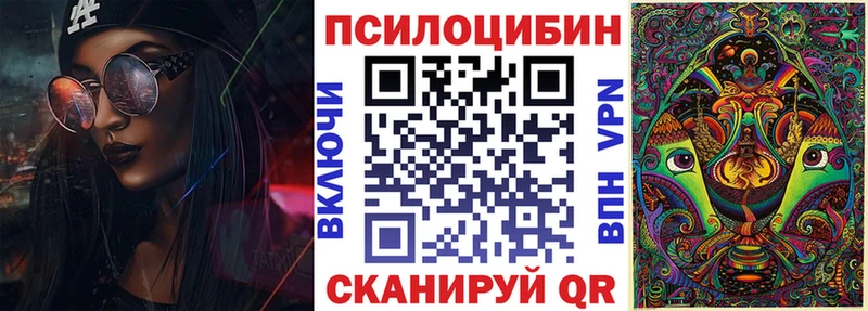 ОМГ ОМГ ТОР Хасавюрт Псилоцибиновые грибы мицелий хочу
