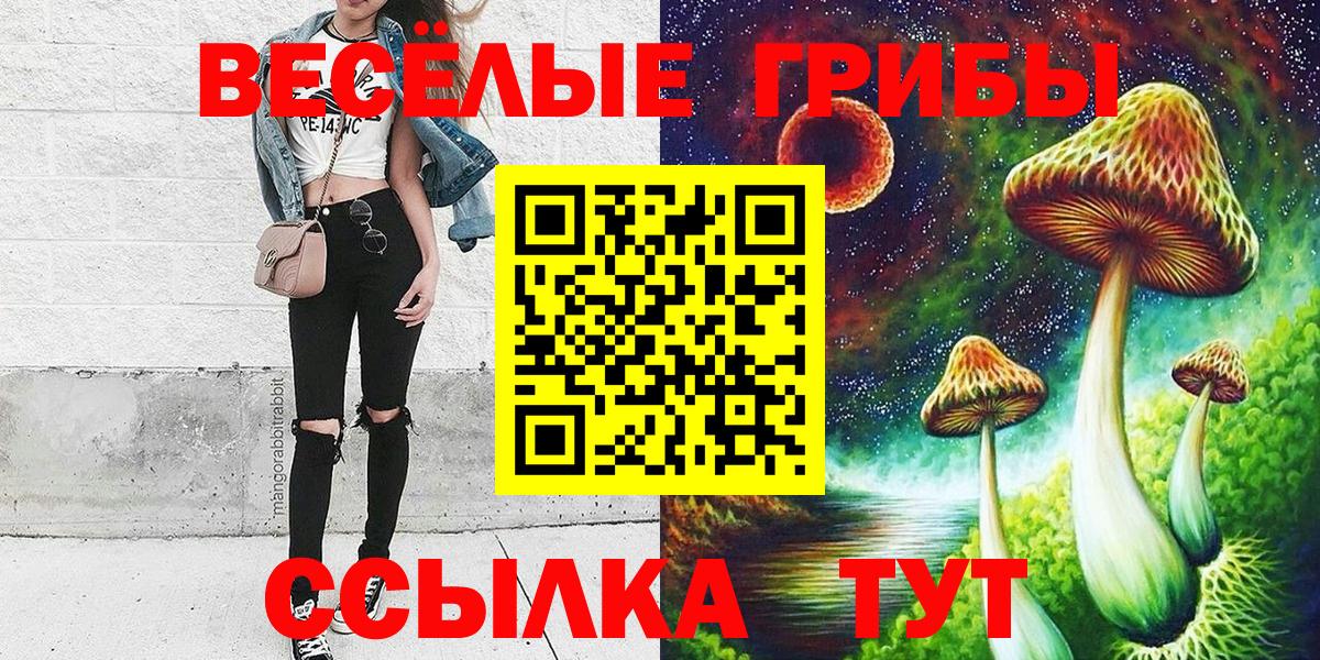 Галлюциногенные грибы GOLDEN TEACHER Хасавюрт
