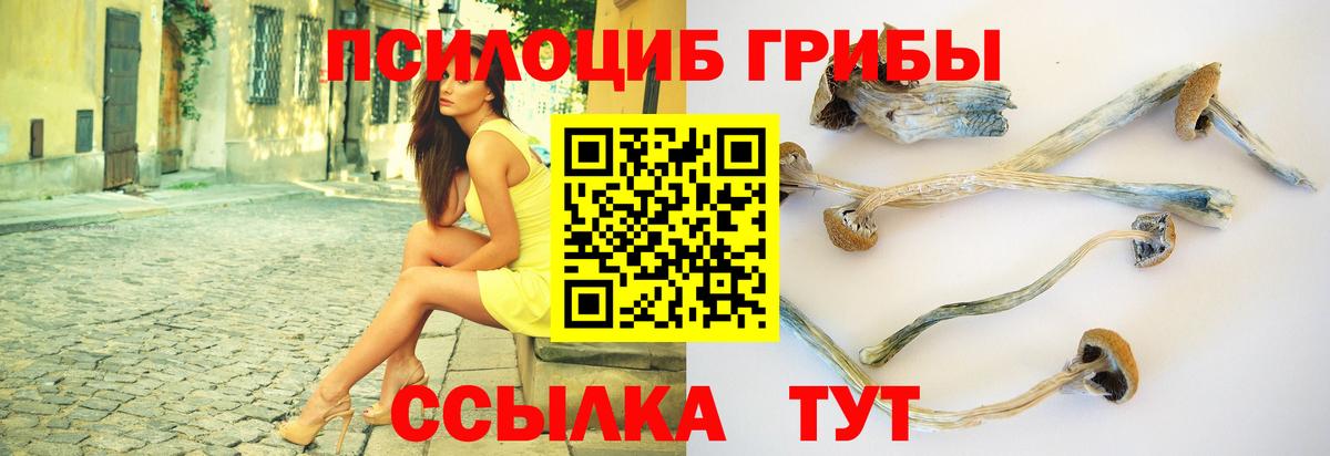 Псилоцибиновые грибы Psilocybine cubensis  Вход с VPN  Хасавюрт  Галлюциногенные грибы Psilocybine cubensis 